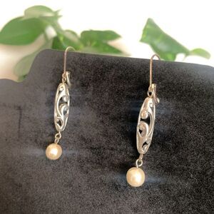 Lovely Premier Designs Carly Dangle Earrings